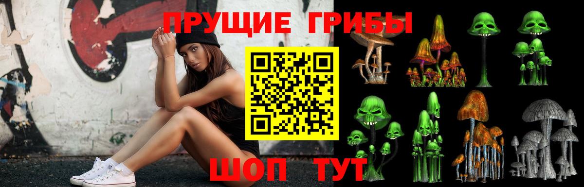 Псилоцибиновые грибы прущие грибы  Вход с VPN  Северск 